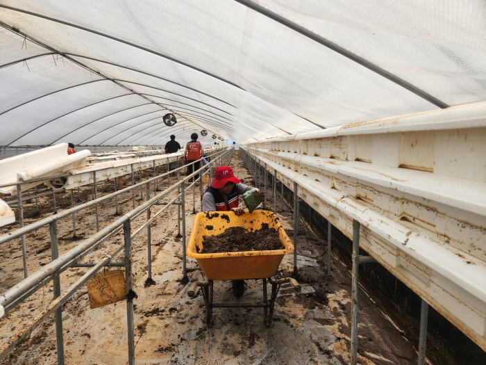 177c7600c4e1fd07b035f0b193a7ca21_1752998332_4908.jpg 177c7600c4e1fd07b035f0b193a7ca21_1752998332_4908.jpg