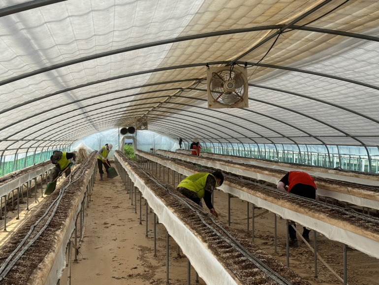 2a1dcf77c6b6197824e0eabda8a4e887_1753600273_9673.jpg 2a1dcf77c6b6197824e0eabda8a4e887_1753600273_9673.jpg