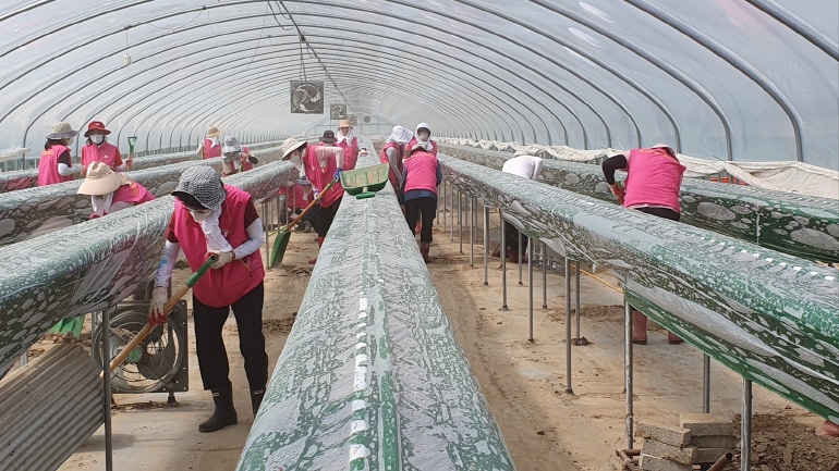 aed872d2c1d919aa20d644c770e8bce4_1753264958_659.jpg aed872d2c1d919aa20d644c770e8bce4_1753264958_659.jpg