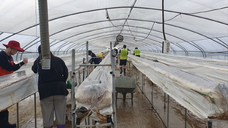 b90e835eb82082e4b09ca3453bcd7f3b_1753093623_6422.jpg b90e835eb82082e4b09ca3453bcd7f3b_1753093623_6422.jpg